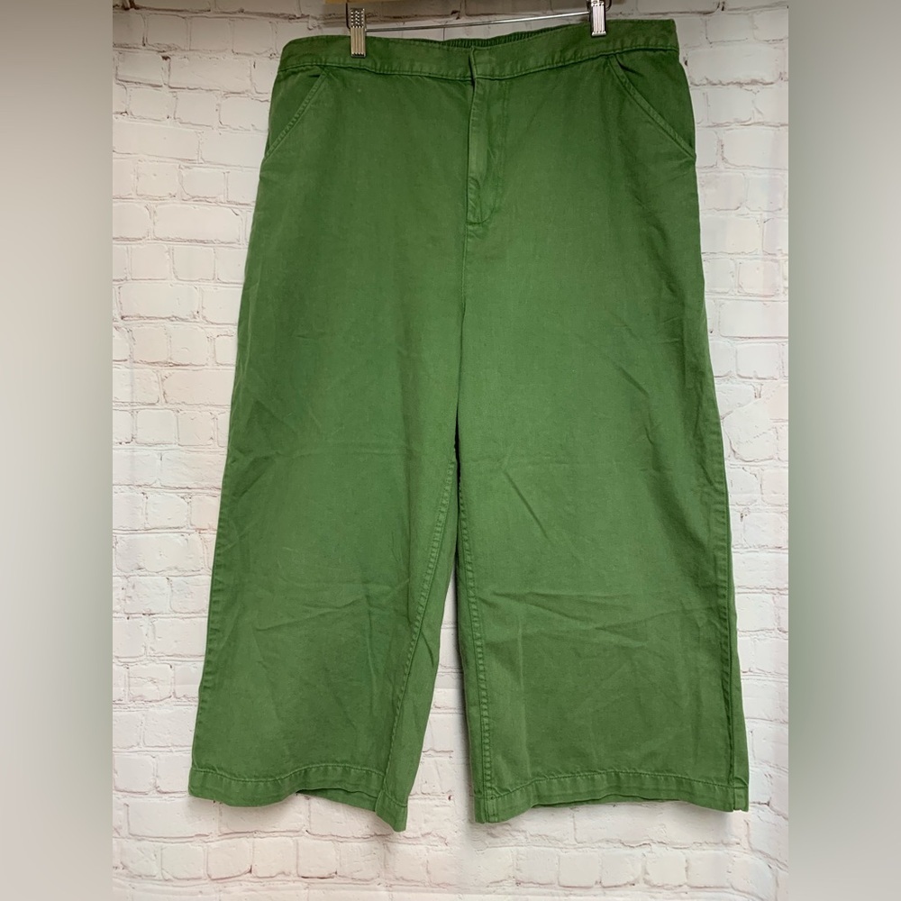 RARE Lucy & Yak Green Wide Leg Crop Organic Pants Size 36​